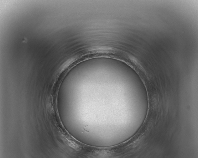 X0000068310970200604281731