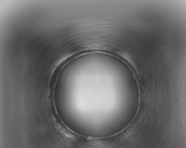 X0000068310971200604281731