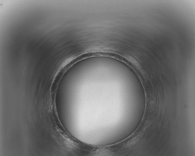 X0000068310974200604281731