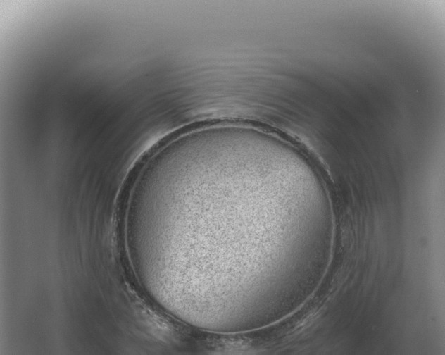 X0000068310975200604281731