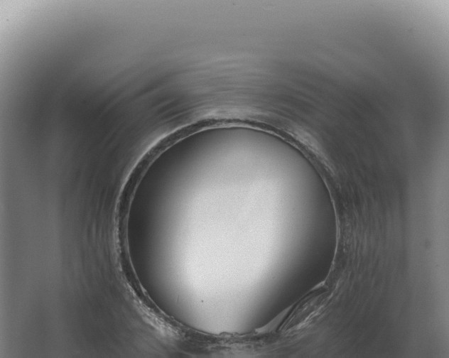 X0000068310976200604281731