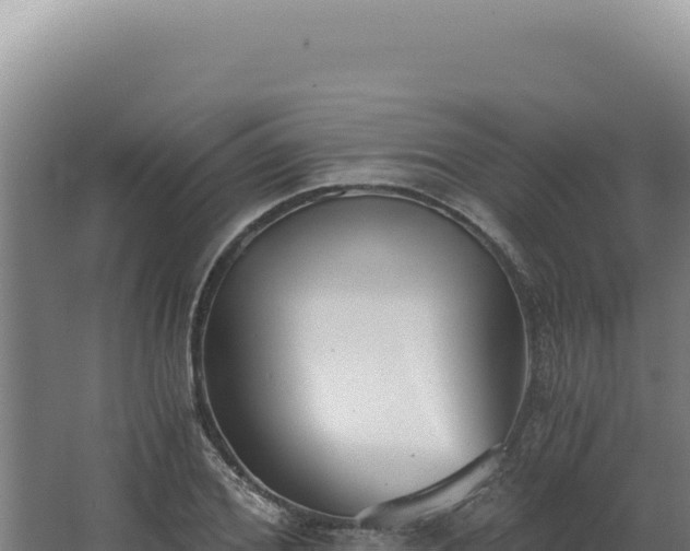 X0000068310980200604281731