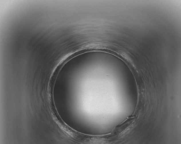 X0000068310981200604281731