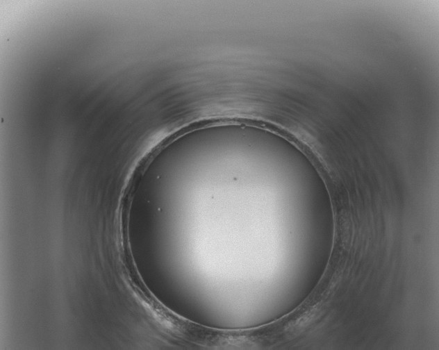 X0000068310982200604281731