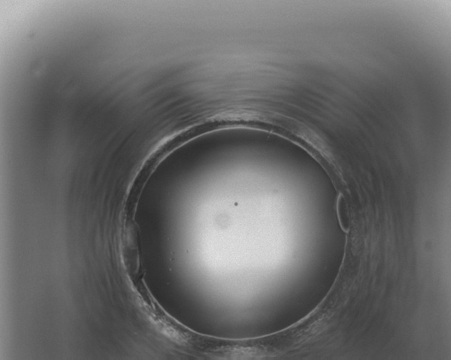 X0000068310984200604281731