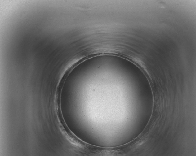 X0000068310987200604281731