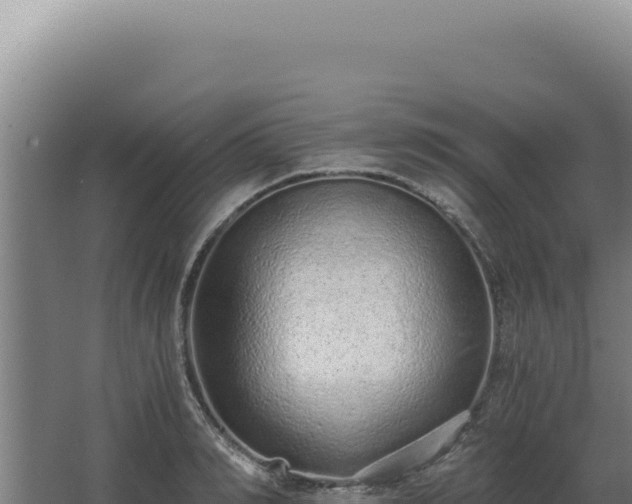 X0000068310990200604281731