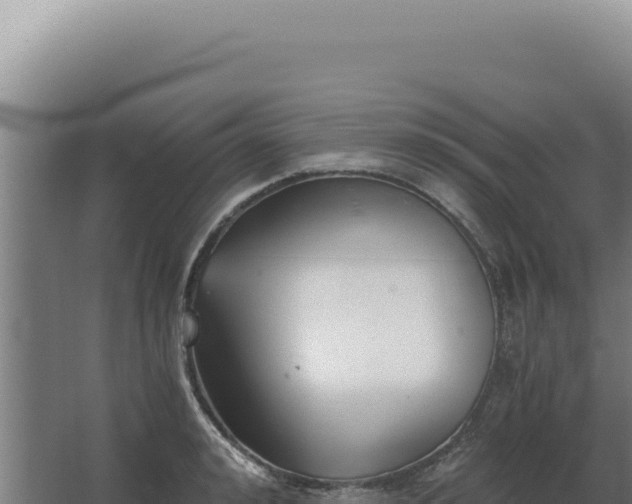 X0000068310992200604281731