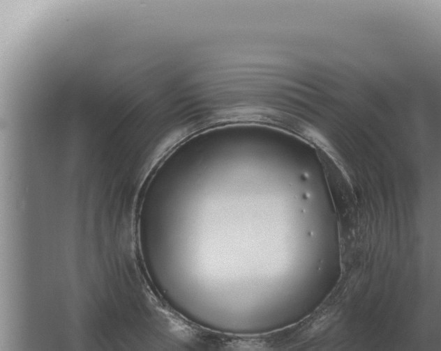 X0000068310994200604281731