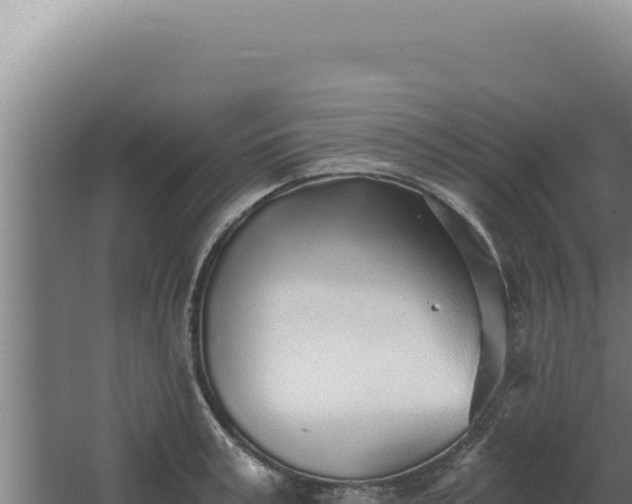 X0000068310995200604281731