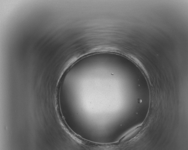 X0000068310997200604281731