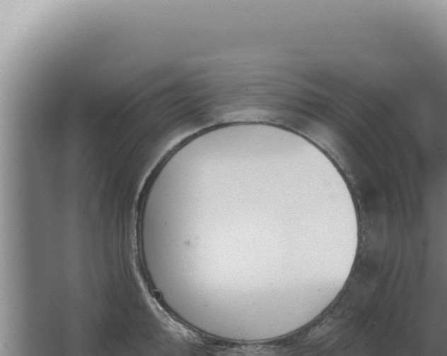 X0000068311000200604281731