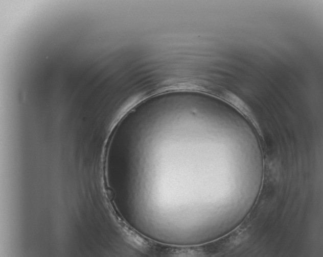 X0000068311002200604281731