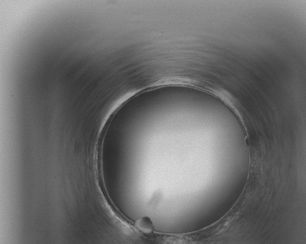 X0000068311003200604281731