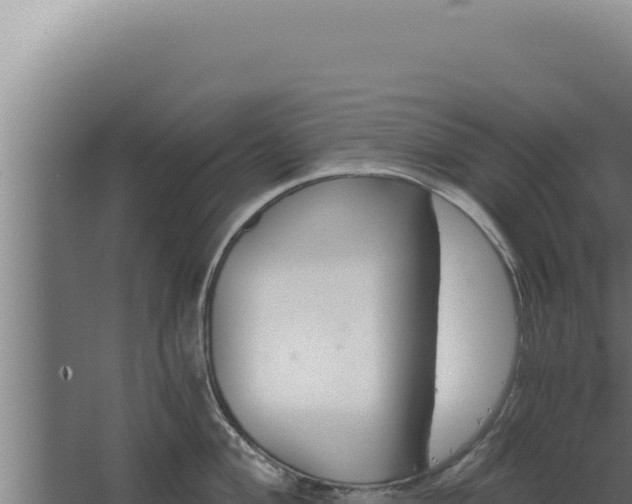 X0000068311004200604281731