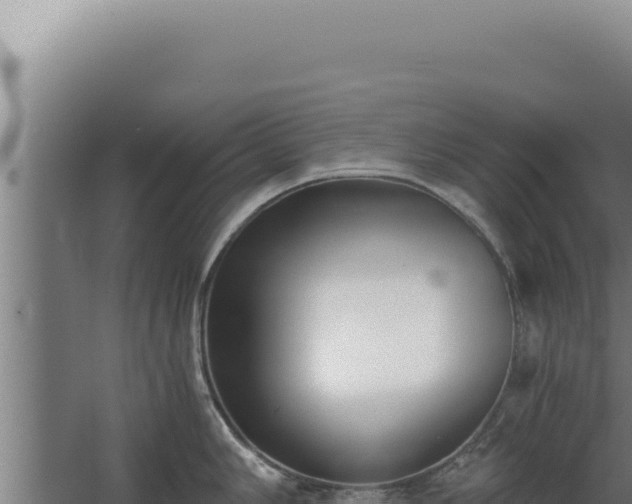 X0000068311006200604281730