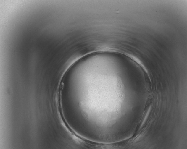 X0000068311007200604281730