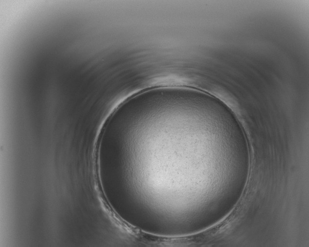 X0000068311008200604281730