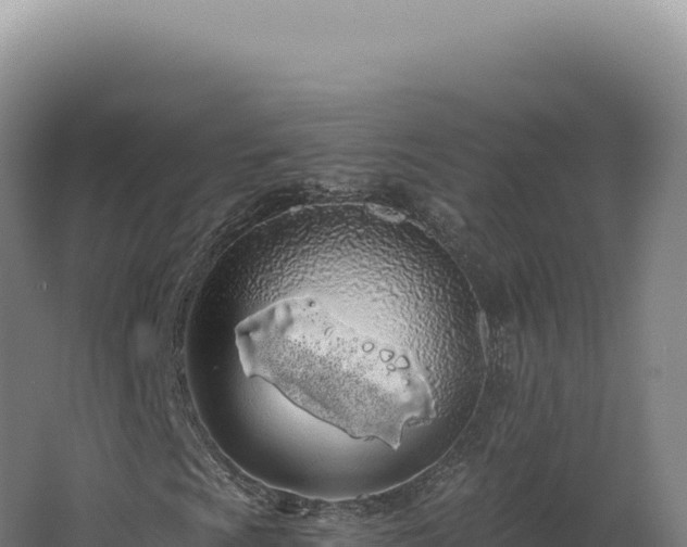 X0000068311009200604281730