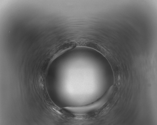 X0000068311010200604281730