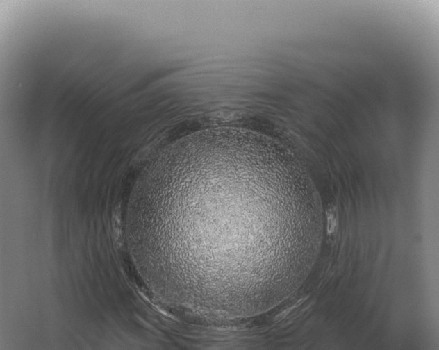 X0000068311011200604281730