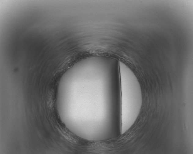 X0000068311012200604281730