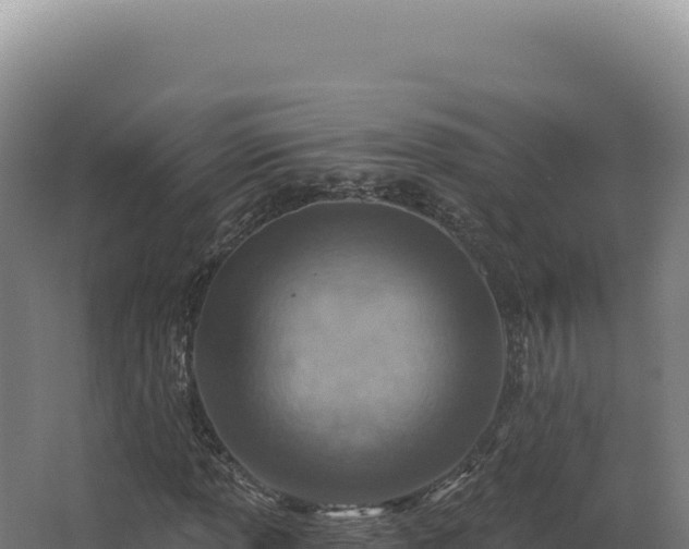 X0000068311013200604281730