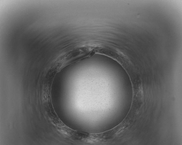 X0000068311014200604281730