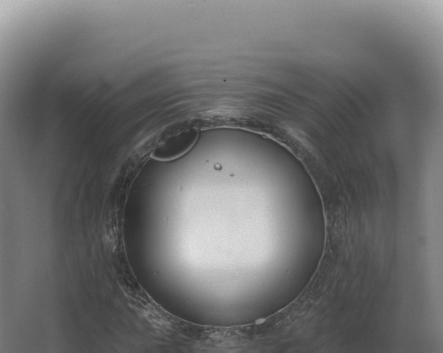 X0000068311015200604281730