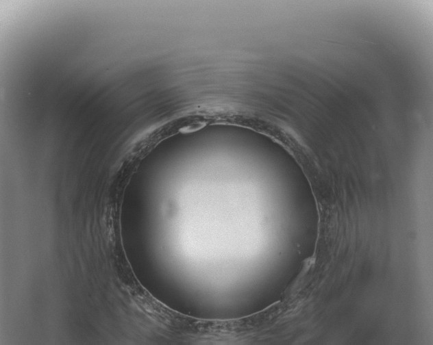 X0000068311016200604281730