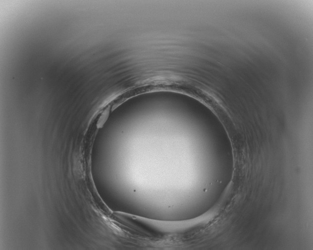 X0000068311018200604281730