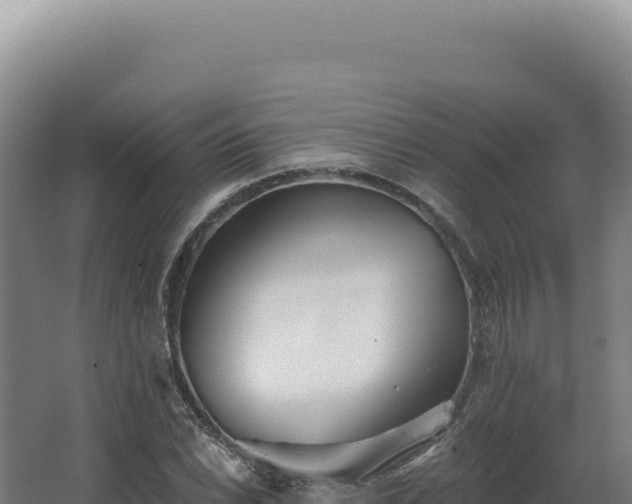 X0000068311022200604281730