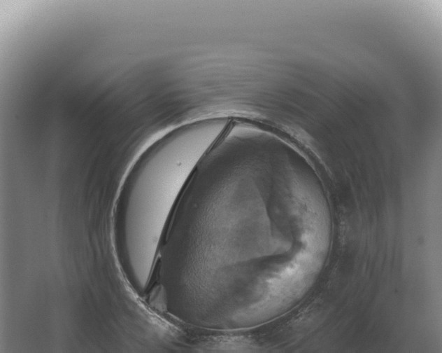 X0000068311024200604281730