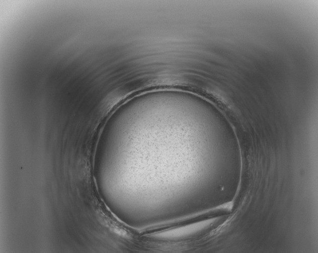 X0000068311025200604281730