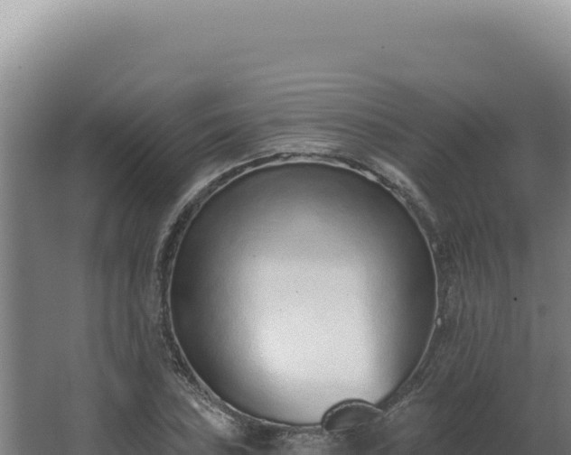 X0000068311027200604281730