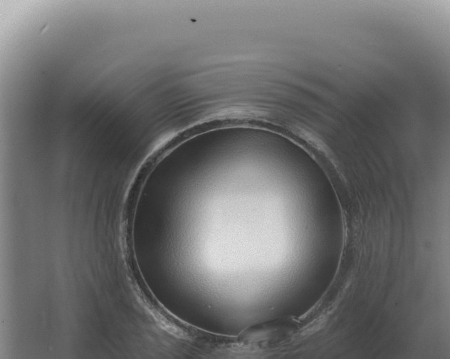 X0000068311029200604281730