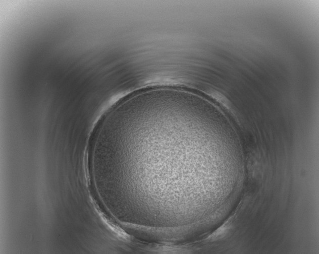 X0000068311030200604281730