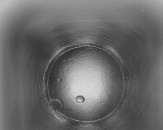 X0000068311031200604281730