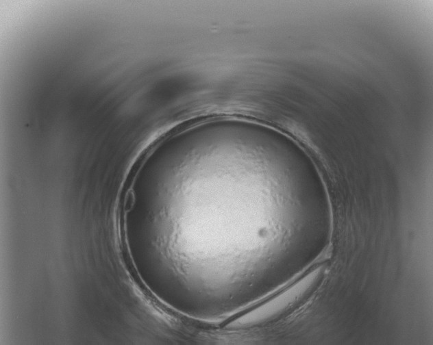 X0000068311032200604281730