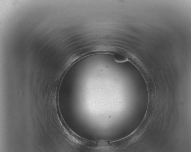 X0000068311033200604281730