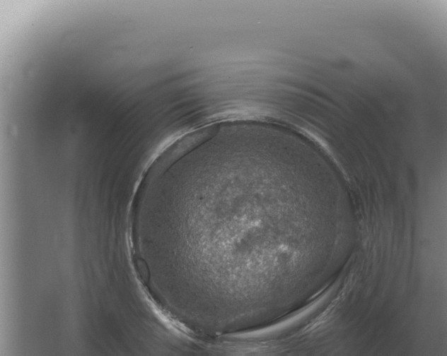 X0000068311034200604281730