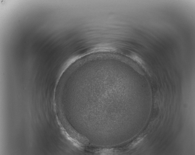 X0000068311038200604281730