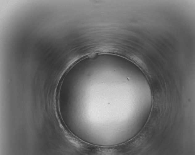 X0000068311039200604281730