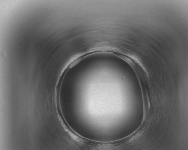 X0000068311046200604281730