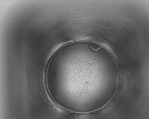 X0000068311047200604281730