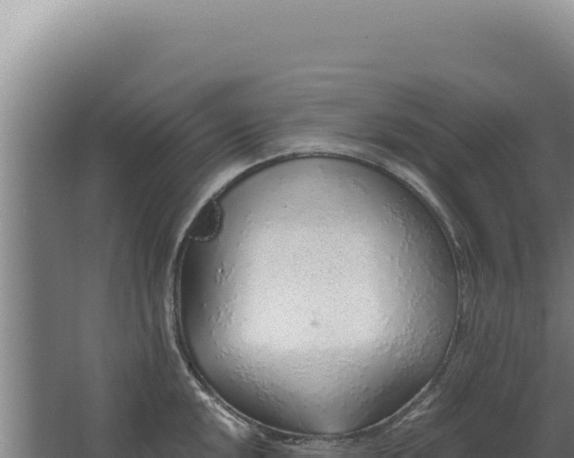 X0000068311048200604281730