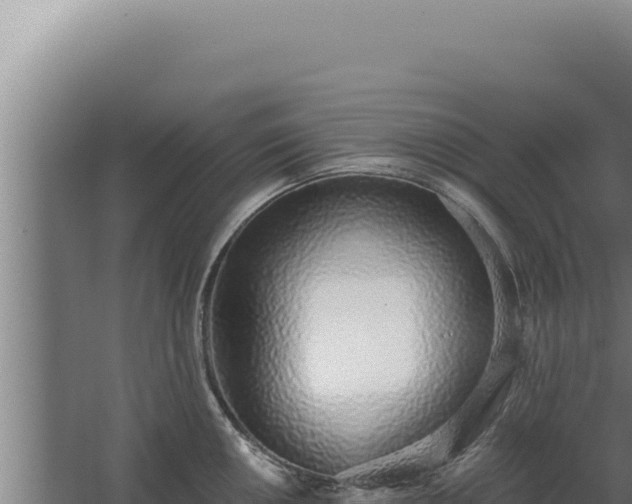 X0000068311050200604281730