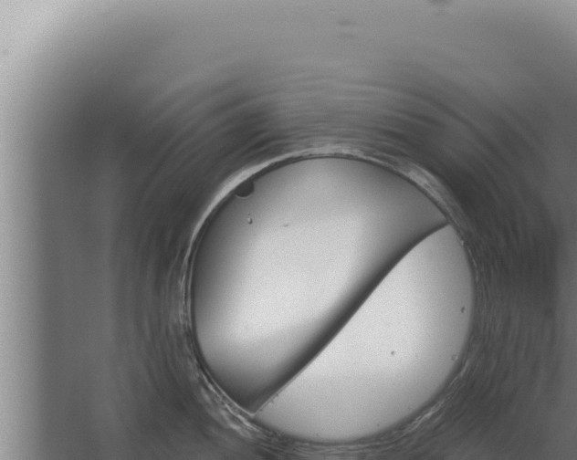 X0000068311052200604281730