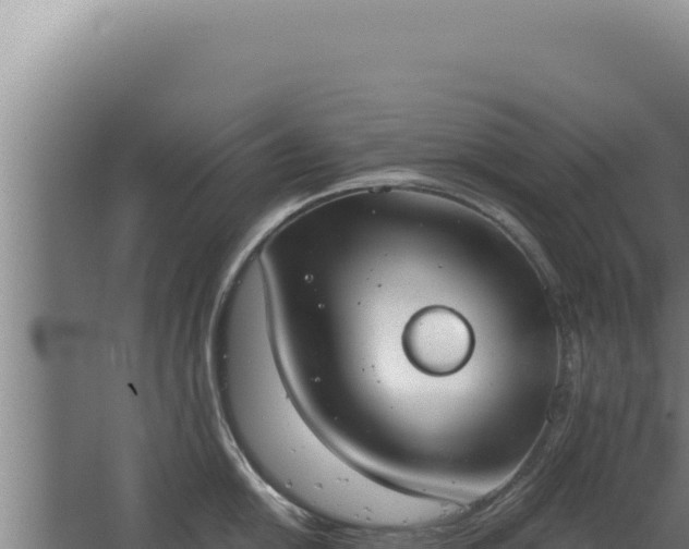 X0000068311054200604281730