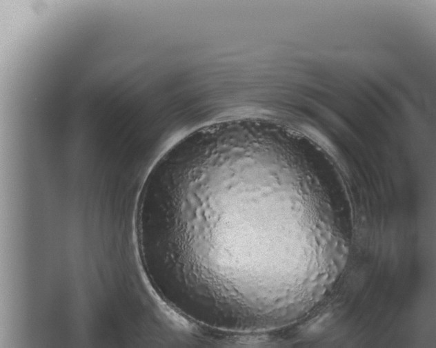 X0000068311055200604281730